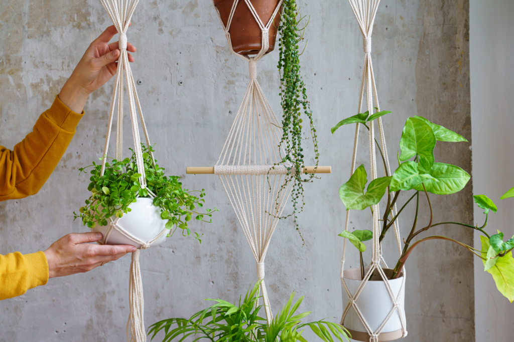 macrame plant hanger